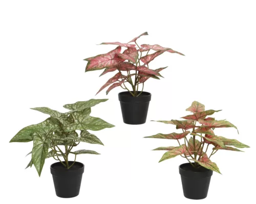 Élethű mű Syngonium szobanövény cserépben zöld és rózsaszín levelekkel 35 cm 3 féle válaszható/db
