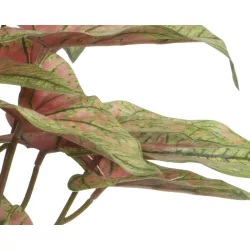   Élethű mű Syngonium szobanövény cserépben zöld és rózsaszín levelekkel 35 cm 3 féle válaszható/db