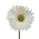 Selyem szálas gerbera fehér 50cm