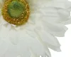 Selyem szálas gerbera fehér 50cm