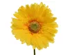 Selyem szálas gerbera sárga 50cm