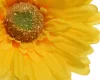Selyem szálas gerbera sárga 50cm