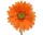 Selyem szálas gerbera narancssárga 50cm