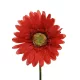 Selyem szálas gerbera piros 50cm