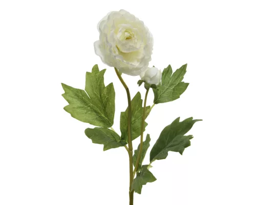 Selyem szálas boglárka fehér 57cm