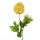 Selyem szálas boglárka sárga  57cm