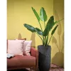 Élethű mű Strelitzia növény cserépben 120 cm