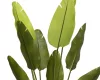 Élethű mű Strelitzia növény cserépben 120 cm