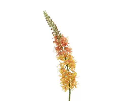 Élethű sárga eremurus (Foxtail) művirág szálon 96 cm