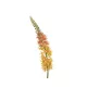 Élethű sárga eremurus (Foxtail) művirág szálon 96 cm