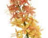 Élethű sárga eremurus (Foxtail) művirág szálon 96 cm