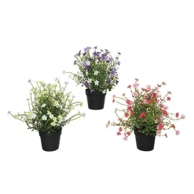   Apróvirágú cserepes növény 3 féle színben 20x25x28cm,
választható