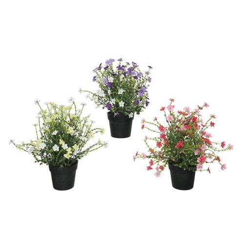 Apróvirágú cserepes növény 3 féle színben 20x25x28cm,
választható