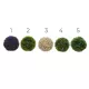 Buxus gömbök 5 féle kicsi, választható/db