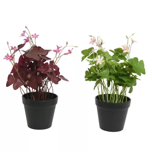 Selyem cserepes szerencse virág 2 színben 23x35cm,
választható