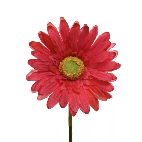 Selyem szálas gerbera fuchsia 50cm