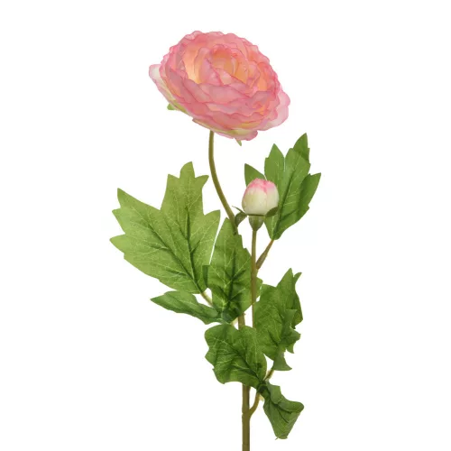 Selyem szálas boglárka erős rózsaszín  57cm
