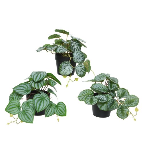 Cserepes műnövény 3 féle 18x18x17cm, választható