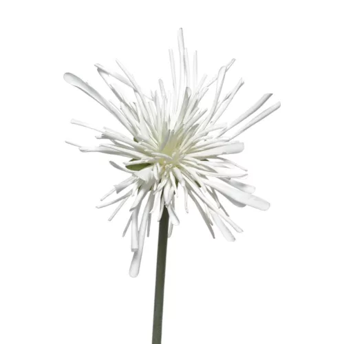 Élethű szálas tűkrizantém fehér 60cm