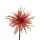Szálas tűkrizantém narancsos 60cm
