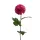 Selyem szálas dália fuchsia 75cm