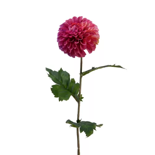 Selyem szálas dália fuchsia 75cm