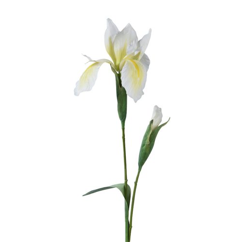 Élethű írisz fehér  78cm