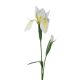 Élethű írisz fehér  78cm