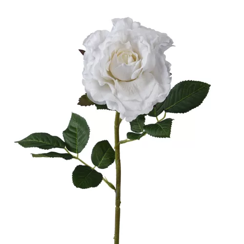 Selyem szálas nyílott rózsa fehér 71cm