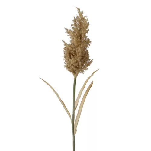 Élethű szálas pampafű  natúr (barnás) 75cm