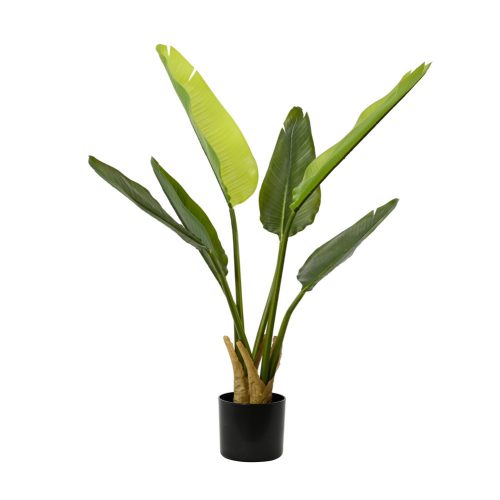 Cserepes műnövény strelicia 40x90cm