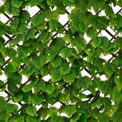   LED Világítással ellátott napelemes műnövényfal – 2 funkciós 180×90 cm