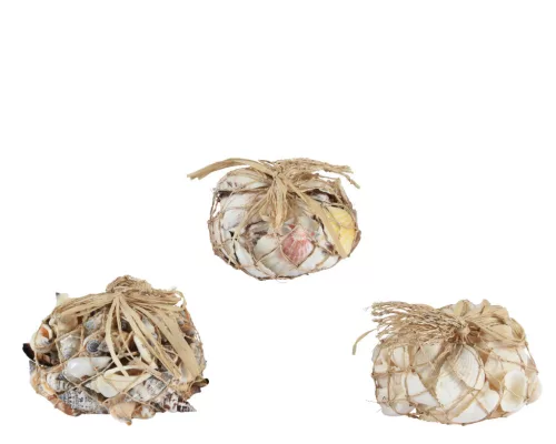 Kagyló dekoráció hálóban 3 féle választható/db 