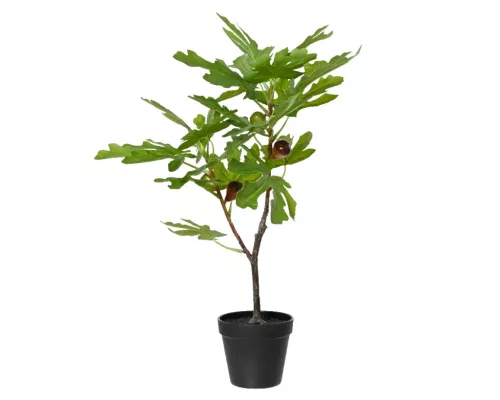 Élethű fügefa cserépben sötétlila 60 cm