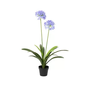 Élethű  agapanthus cserépben lila 80x80x105 cm