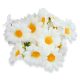 Margaréta virágfej 4cm 20db/csomag
