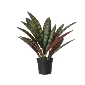  Élethű calathea lancifolia pávalevelű műnövény fekete cserépben 43 cm