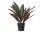 Élethű calathea lancifolia pávalevelű műnövény fekete cserépben 43 cm