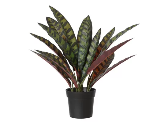 Élethű calathea lancifolia pávalevelű műnövény fekete cserépben 43 cm