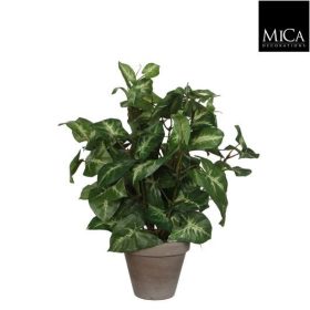 Élethű  Syngonium műnövény kaspóban 35 cm