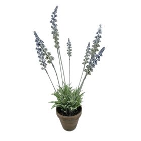 Műnövény cserepes levendula 25 cm