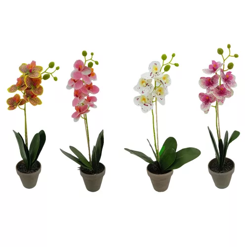 Műnövény orchidea mix 40cm barnás agyagcserépben, választható