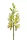 Élethű szálas orchidea 8 virággal zöld-lime 77 cm