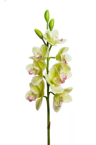 Élethű szálas orchidea 8 virággal zöld-lime 77 cm