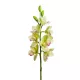 Élethű szálas orchidea 8 virággal zöld-lime 77 cm
