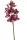 Élethű szálas orchidea 8 virággal bordó 77 cm