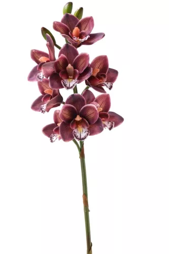 Élethű szálas orchidea 8 virággal bordó 77 cm