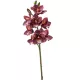 Élethű szálas orchidea 8 virággal bordó 77 cm