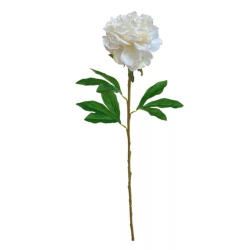 Élethű szálas babarózsa krém 65 cm