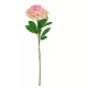 Élethű szálas babarózsa pink 65 cm